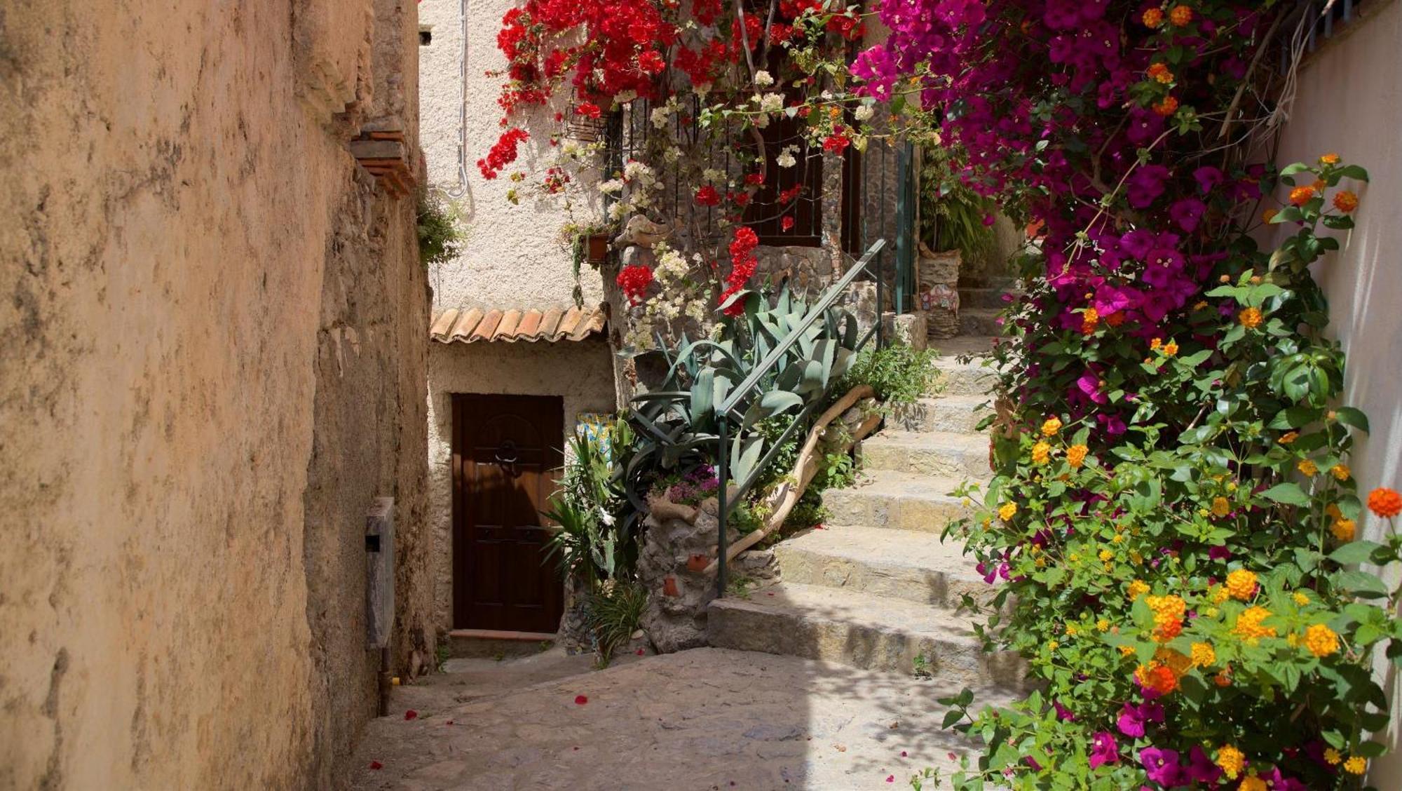 Appartement The Lemon Tree House à Scalea Extérieur photo