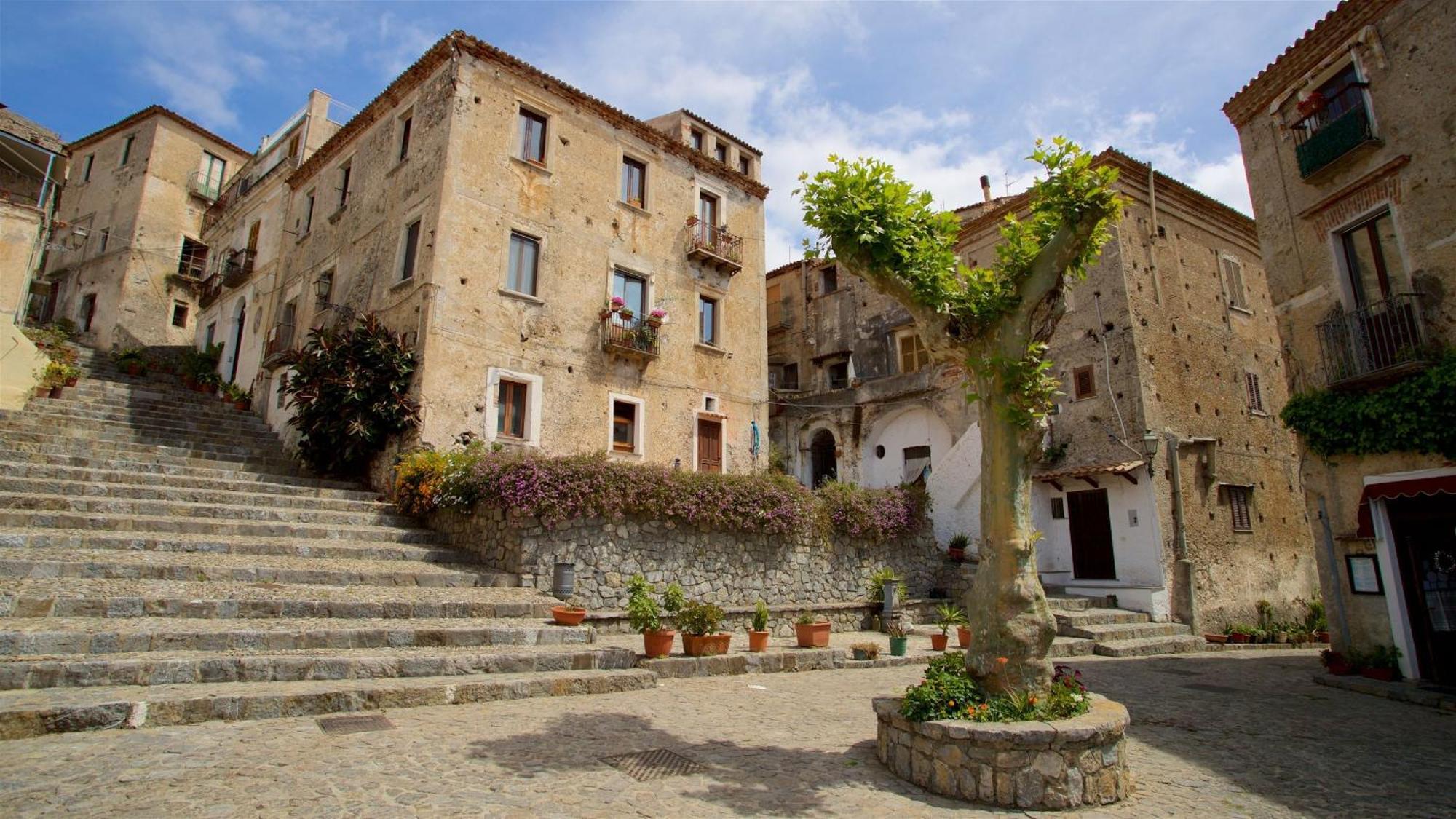 Appartement The Lemon Tree House à Scalea Extérieur photo
